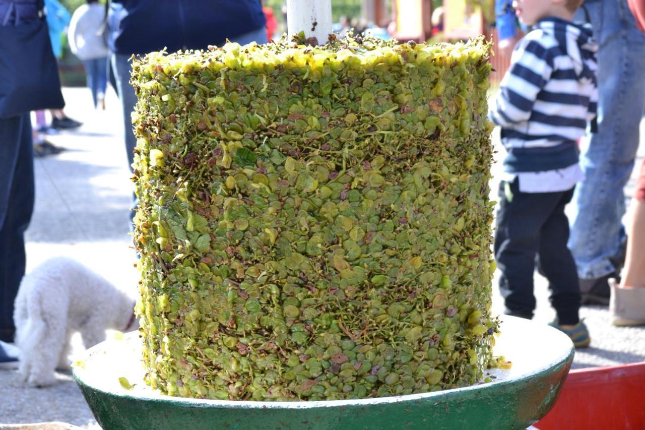 Penzion Sedlecka Vina سيدليك المظهر الخارجي الصورة