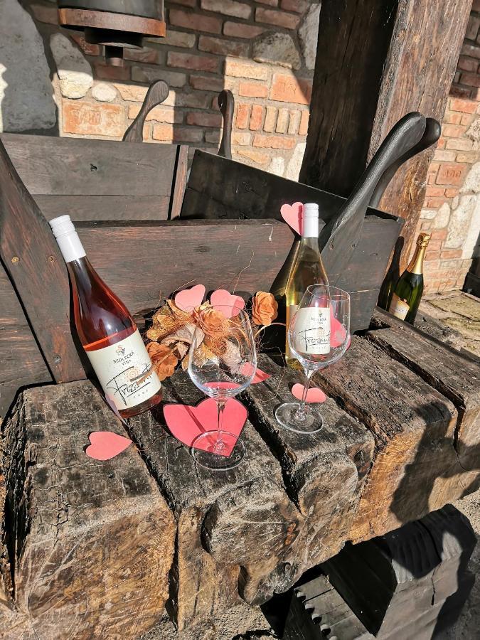 Penzion Sedlecka Vina سيدليك المظهر الخارجي الصورة